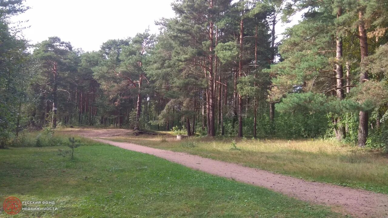 поселок лебяжье ломоносовского района ленинградская область. поселок лебяжье ломоносовский район. финский залив лебяжье. финский залив лебяжье. лебяжье ломоносовский район.