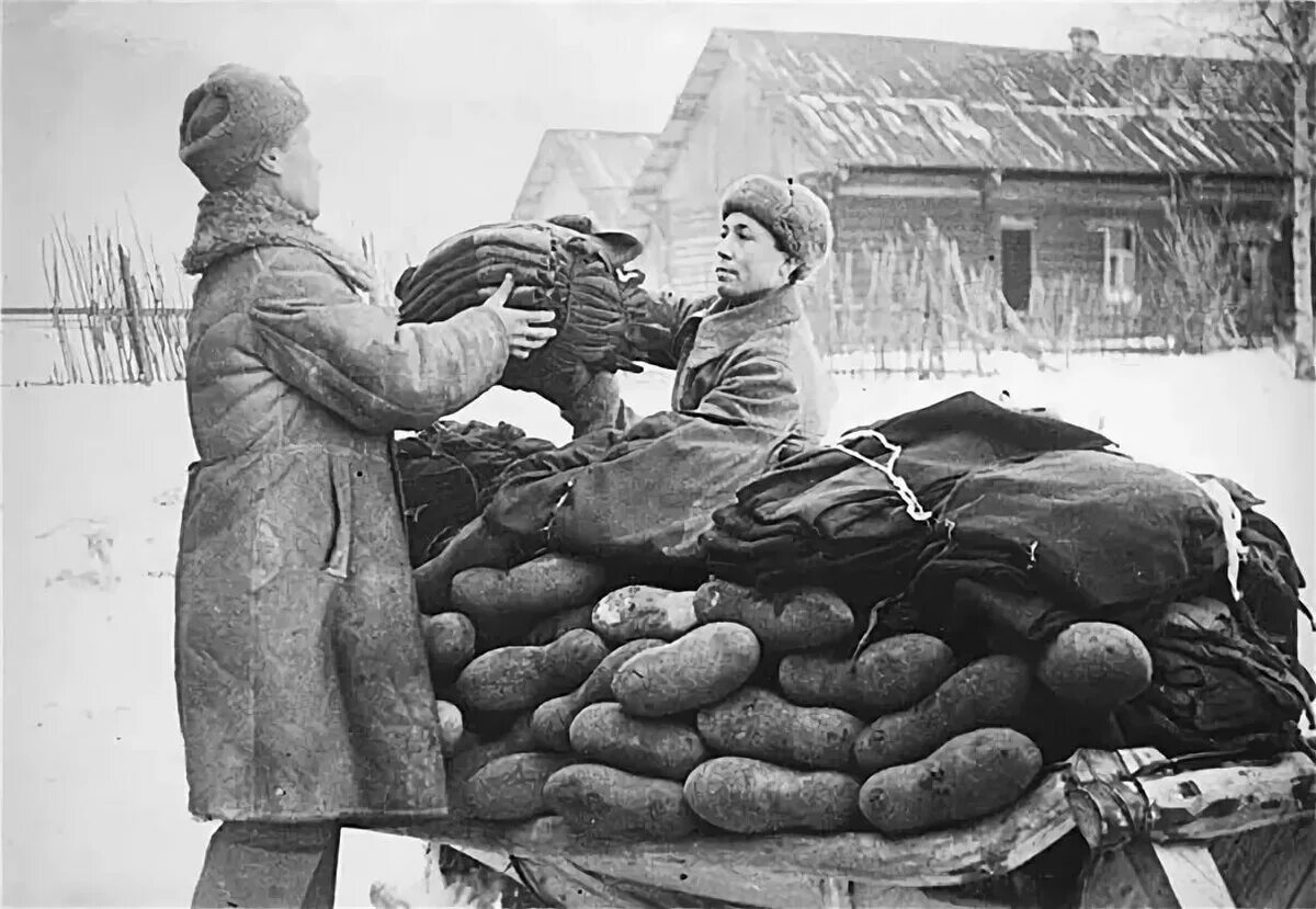 Повседневность в советском тылу. Валенки РККА 1941. Югра в годы Великой Отечественной войны 1941-1945 пушнина. Солдаты в валенках 1941-1945. Валенки солдатские ВОВ.