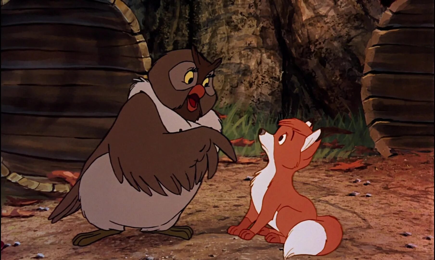 The fox and the mole. Лис и пёс big mama. Амос Слейд Дисней. Кот Тод. Boog the Bear and Owl big mama Fox and the Hound.