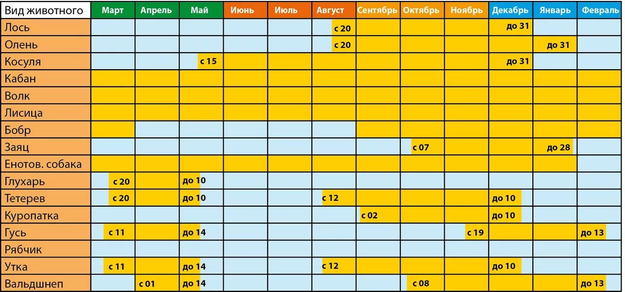 Периоды разрешения охоты. Календарь охота. График охоты. Таблица сроков охоты.