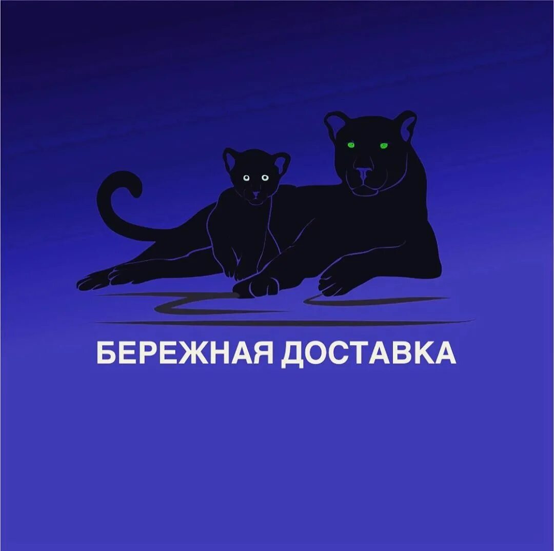 вл лоджистик логотип. тлк восток. тлк восток логистик. тлк восток. тлк восток логистик находка.
