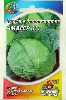 Сорт капусты сахарный хруст