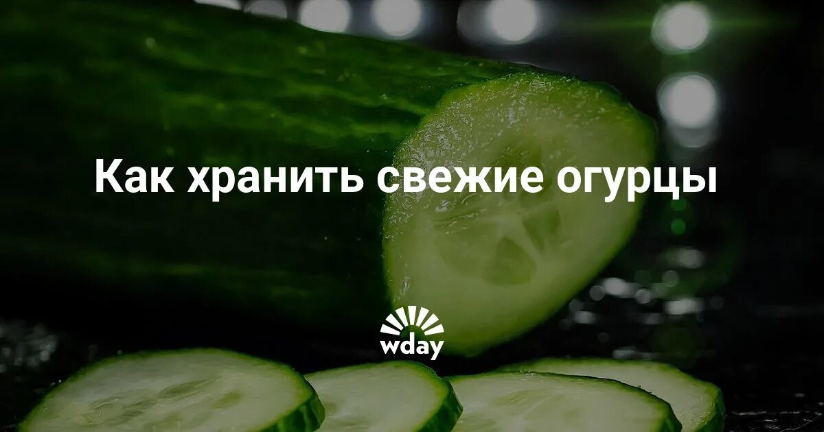 Как сохранить огурцы. Как сохранить огурцы свежими. Как долго сохранить огурцы свежими. Как правильно хранить свежие огурцы. Как дольше сохранить свежие огурцы.