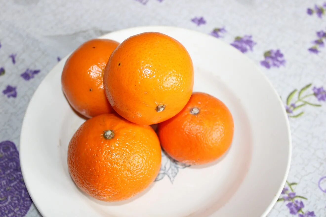 Яблоки при отравлении можно. Апельсины при отравлении. Мандарины при отравлении. Апельсины при гастрите. Апельсины при цистите.