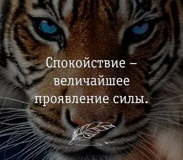 Спокойствие величайшее