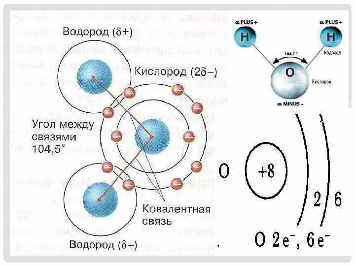 Схема образования связи между атомами водорода и кислорода. Схема образования связи водорода. Схема образования химической связи водорода. Связь водорода и кислорода схема.