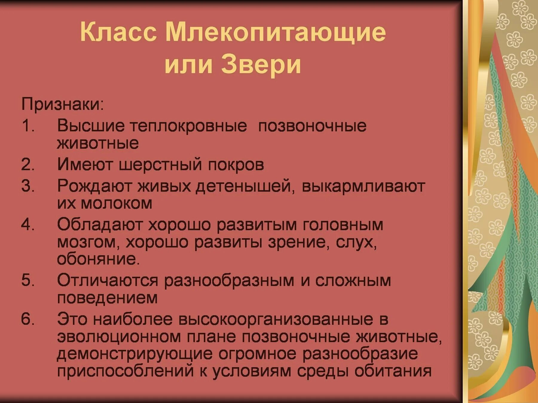 Класс млекопитающие или звери. Класс млекопитающ ли звери. Признаки класса млекопитающих. Признаки класса млекопитающих высшие звери. Характеристика млекопитающих 8 класс биология