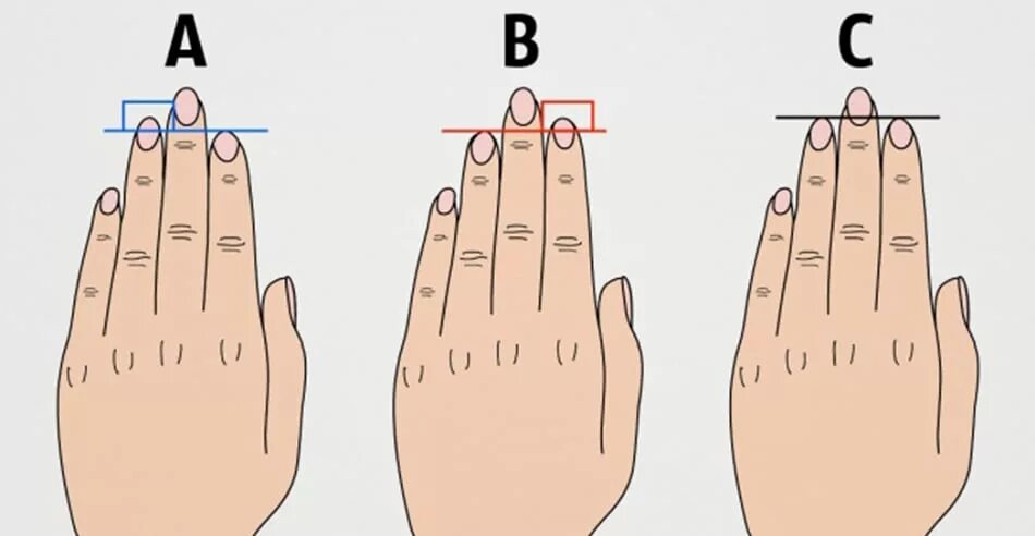 Длина пальцев женщин. Расположение пальцев на руке. Характер по палпальцам. Длина пальцев рук. Безымянный палец.