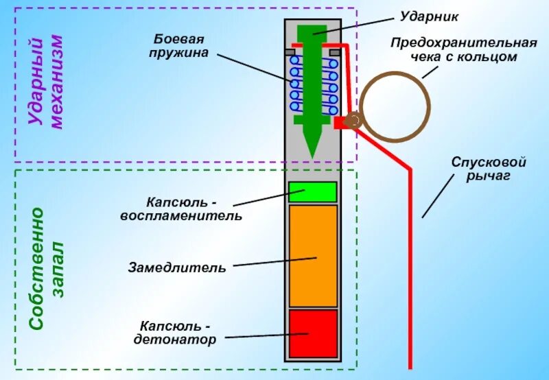 Запал гранаты ф1 устройство. Взрыватель гранаты ф1 чертеж. Устройство гранаты ф1. Устройство взрывателя гранаты ф1.