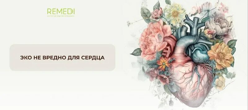 Эко не получилось. Эко не получилось