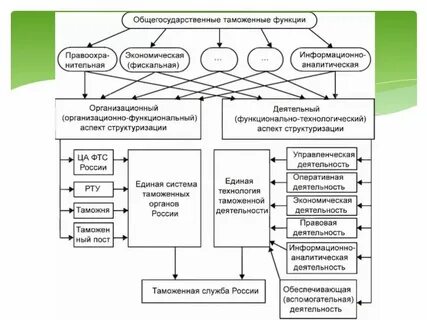 Перечислите основные органы управления