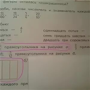 5 6 прямоугольника