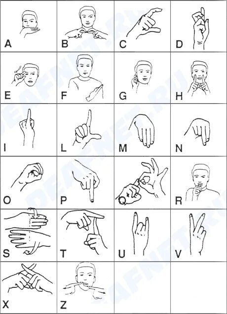 Язык жестов. Мемы на прозрачном фоне. Язык жестов глухонемых. Жесты иллюстраторы. Язык жестов глухонемых.