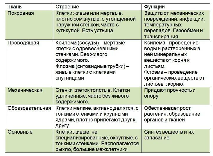 Ткани название строение функции. Таблица образовательная ткань покровная ткань. Ткани растений строение и функции таблица. Структура тканей растений. Образовательная ткань функции и строение таблица растений.