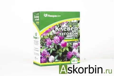 Клевер луговой инструкция по применению