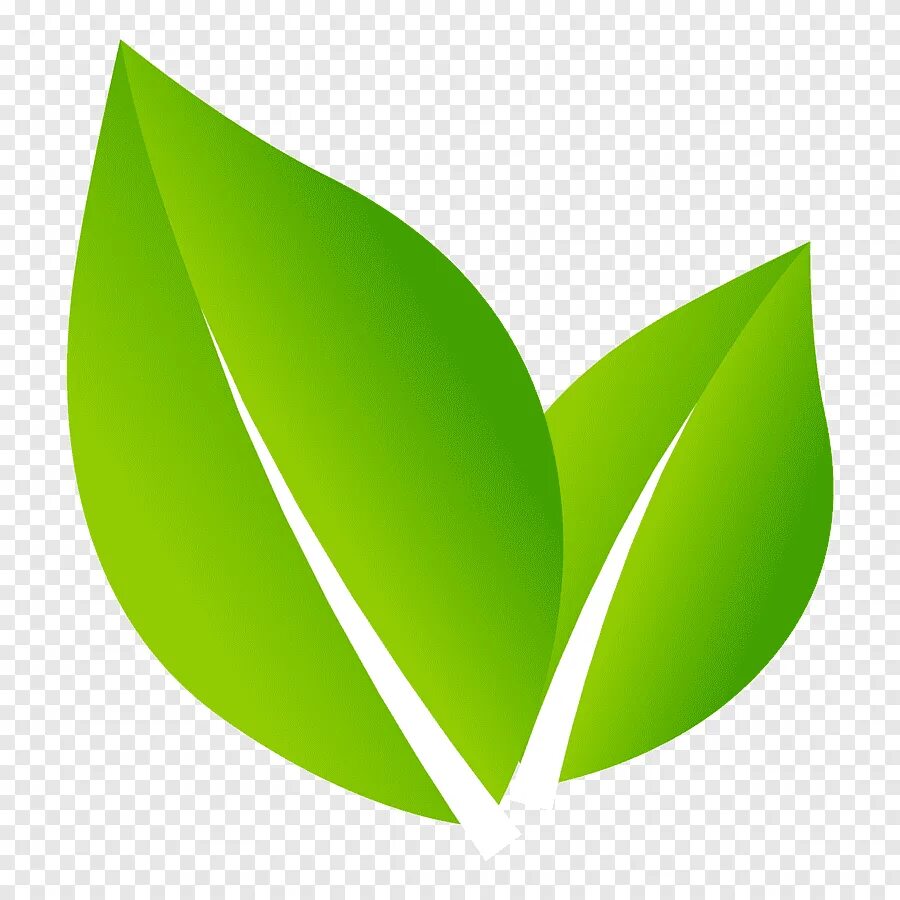 Логотип лепесток. Зеленый лист символ. Лист иконка. Зеленые листочки. Значок листочка.