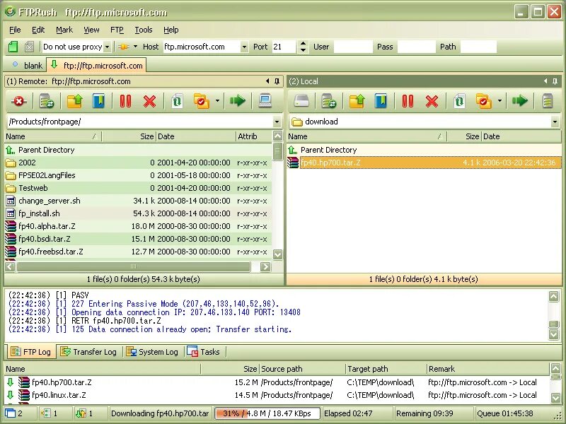 Ftp log. Ftprush. программа для ftp клиента портативная. ftprush фото. ftprush логотип.