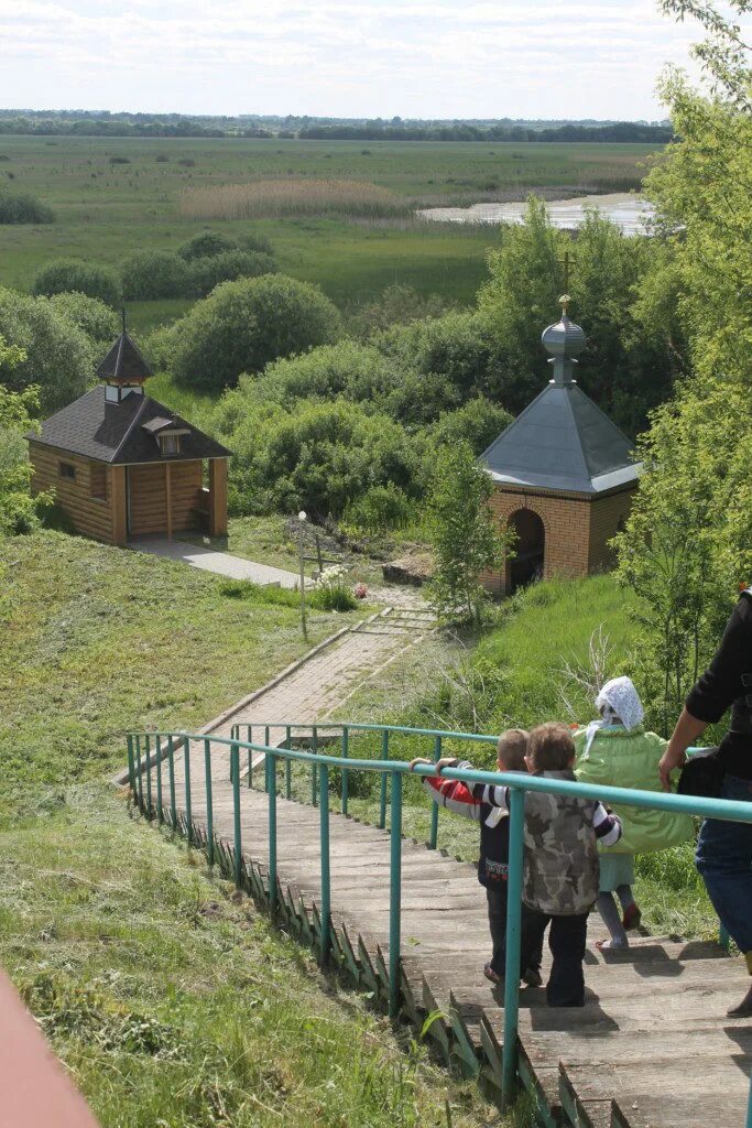 Курские родники. Святой источник Курская область. Святой источник Инихово Данковский район.