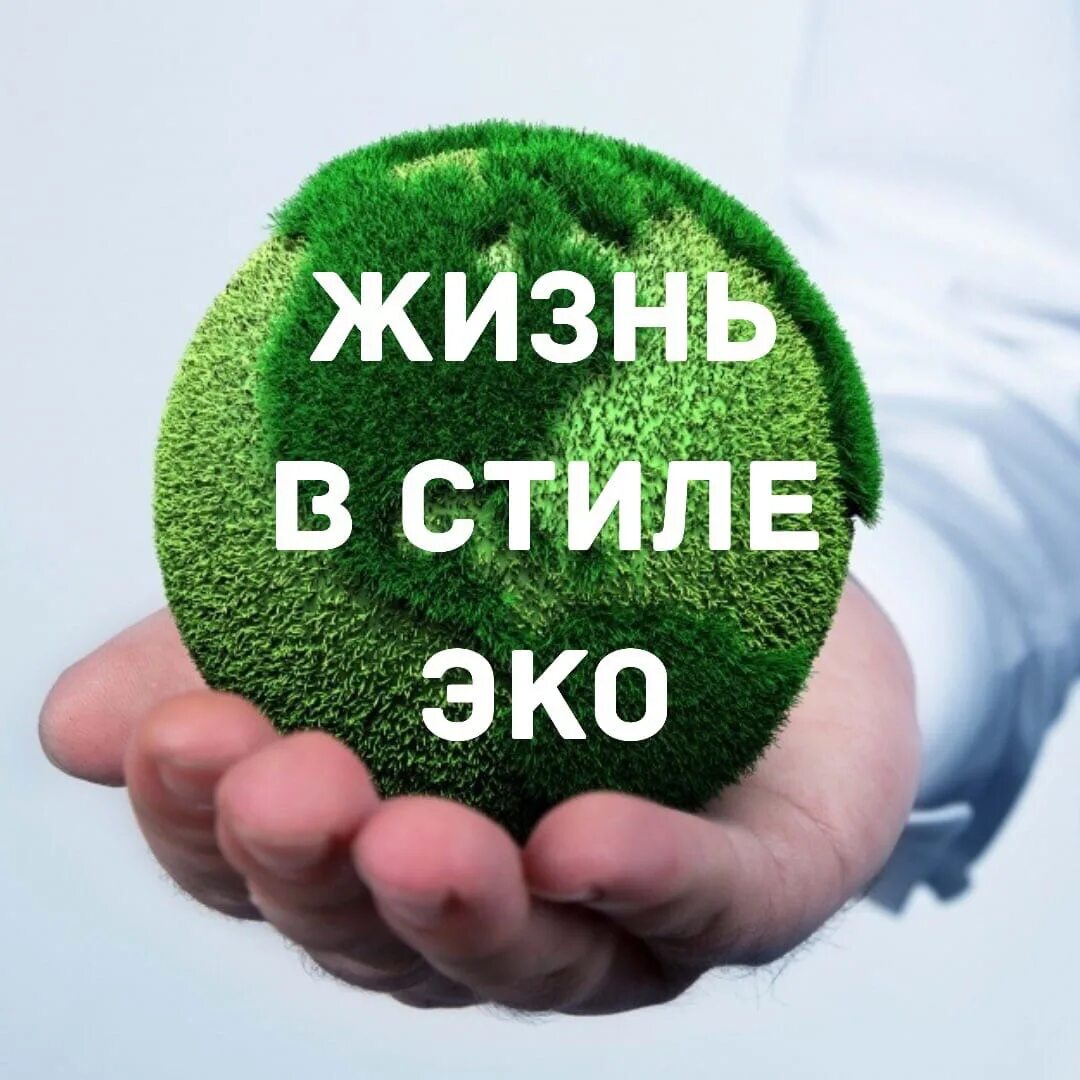 Экомаркет гринвей. Экомаркет гринвей картинки. Эко маркет рисунок гринвей. Эко маркет рисунок гринвей. Экомаркет гринвей картинки.