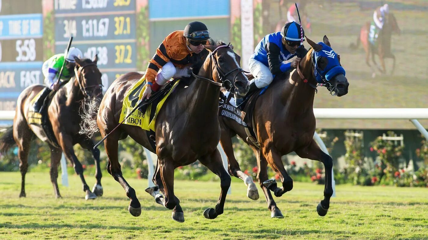 Скачки grand national. Конный спорт в великобритании. Скачки фото. Скачки лошадей финиш. Horse racing in great britain.