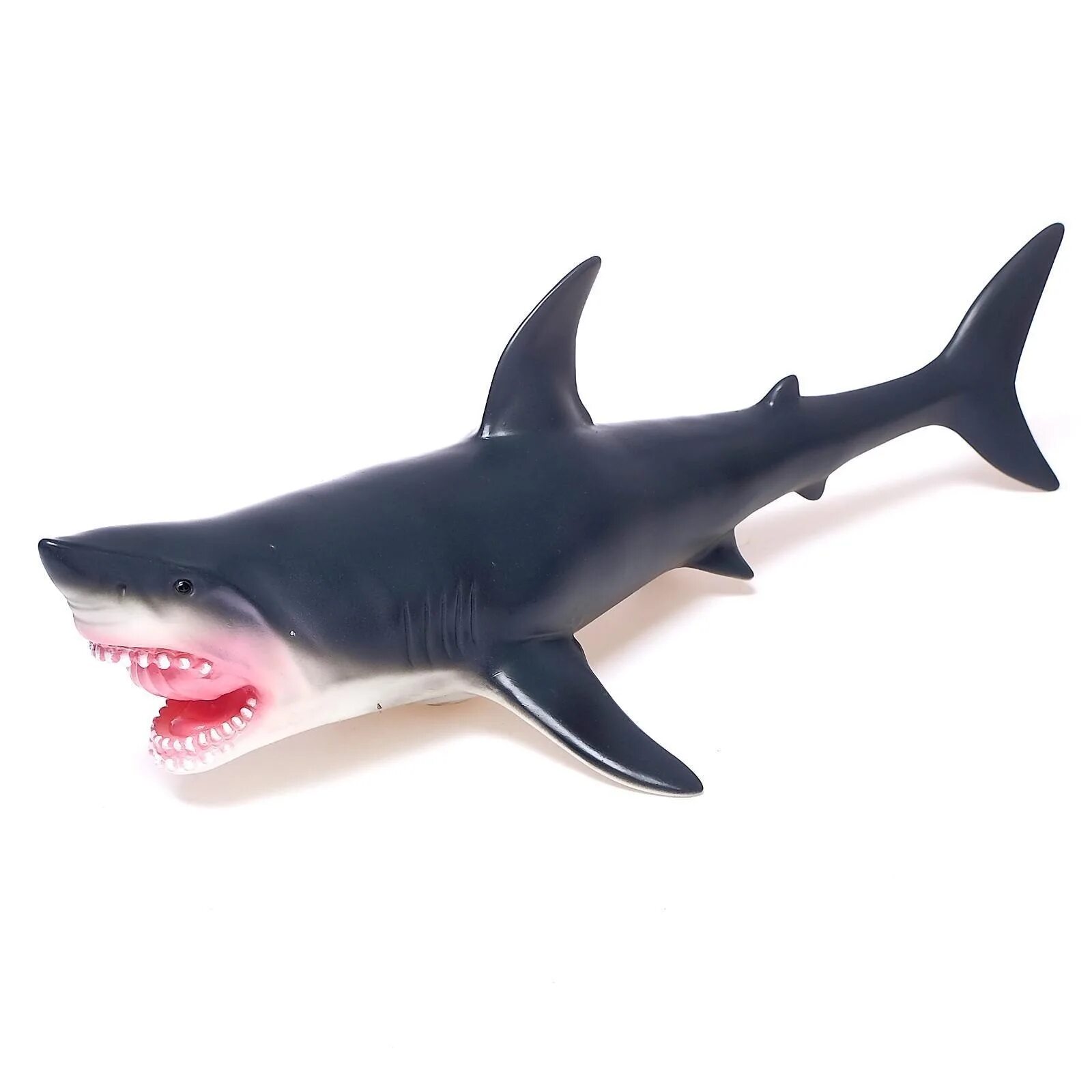 Shark-41 записи. Акула 3д модель. Мако хангри шарк. Хангри шарк эволюшн. Chark 41 записи.