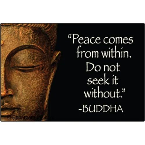 Цитаты ог буды. Цитаты og buda. og buda цитаты из песен. цитаты og buda про любовь. the peace is coming.