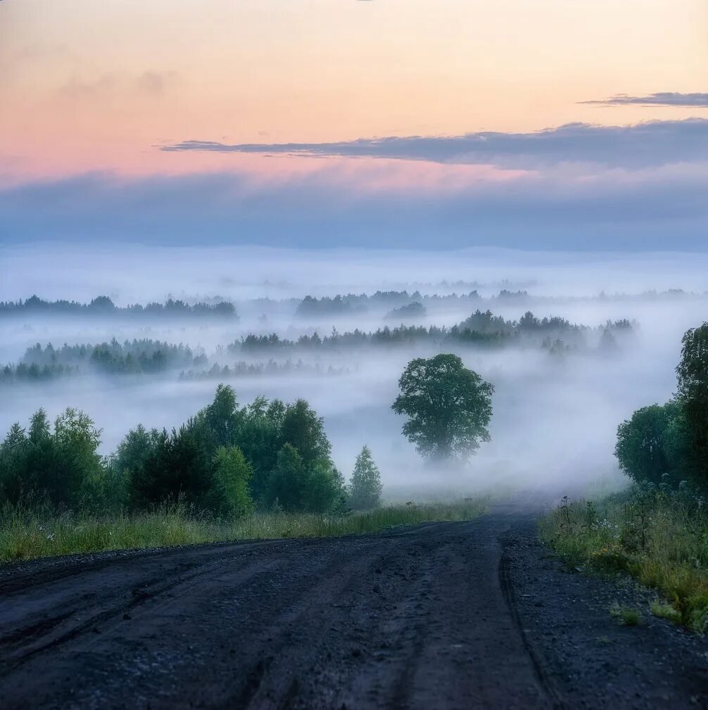 Высокие кучерявые облака. Интересные природные явления. Облака опустились на землю. Природные стихии торнадо. Туман опускается на землю.