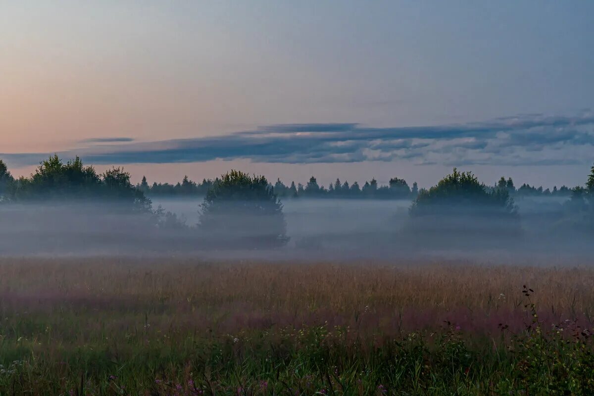 Туман бузулук. Туман. Туманная область. Пермский край туман. Туман фото.