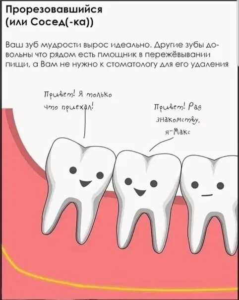 Когда в марте удалять зубы. Зуб мудрости растет в зуб.