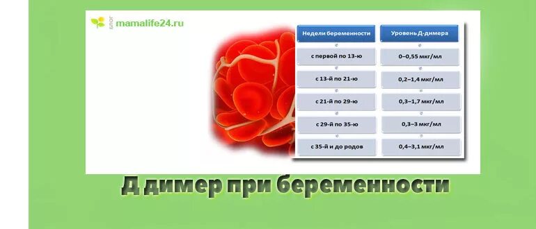 Стендчилов 0.26 0. Стендчилов 0.26 0