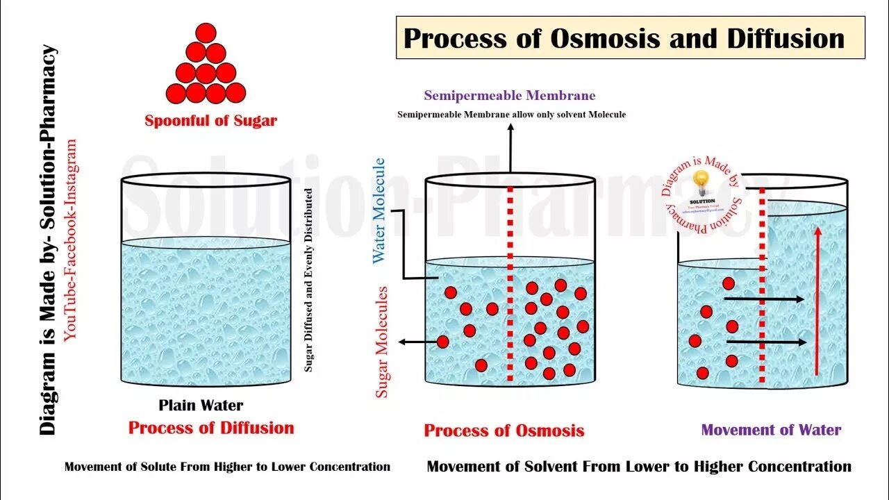 Diffusion process. Диффузия и осмос. what is osmosis. diffusion definition. pressure diffusion.