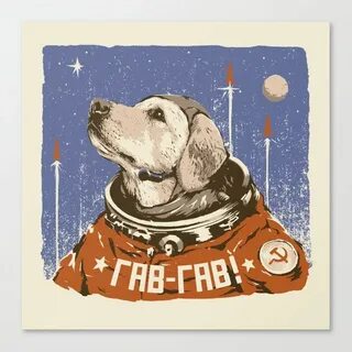 День космонавтики собака