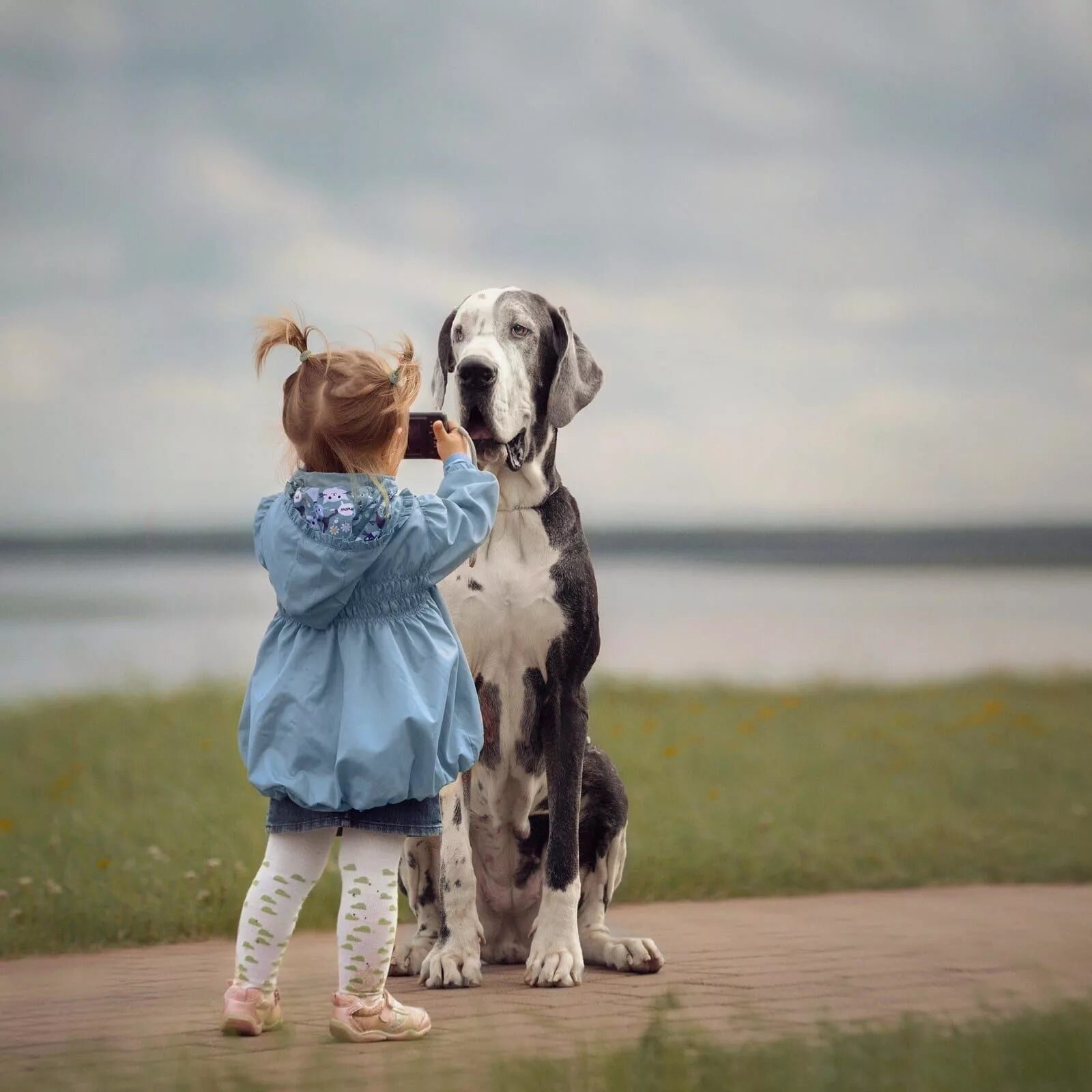 Baby pet. Собака для детей. Девочка и большая собака. Девочка с собакой. Фотосессия ребенка с собакой.