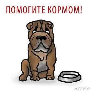Нужен корм собакам