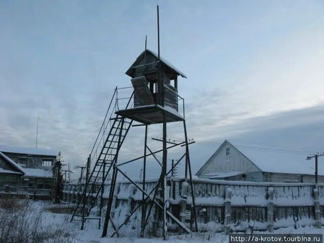 Конвейерные технологии. Саратовский завод холодильников. Галерея конвейера. Конвейер архангельск. Рольганг неприводной.