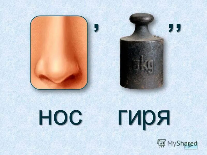 Ребус нос. Ребус Носов. Ребус слово нос. Ребус чеснок и нос. Ребус лица