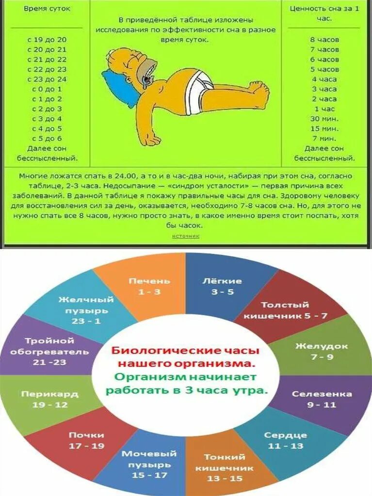 Сон в течение дня