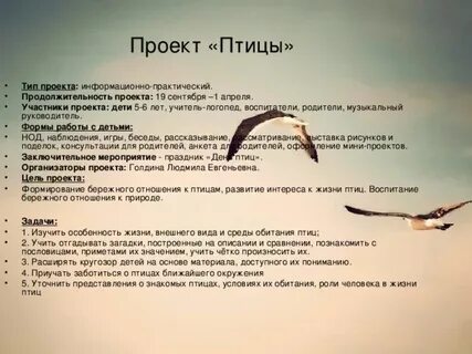 Нас учили быть птицами