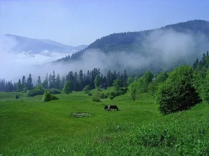 Закарпатье