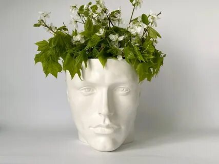 Head plant