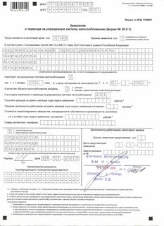 Бланк упрощенной системы