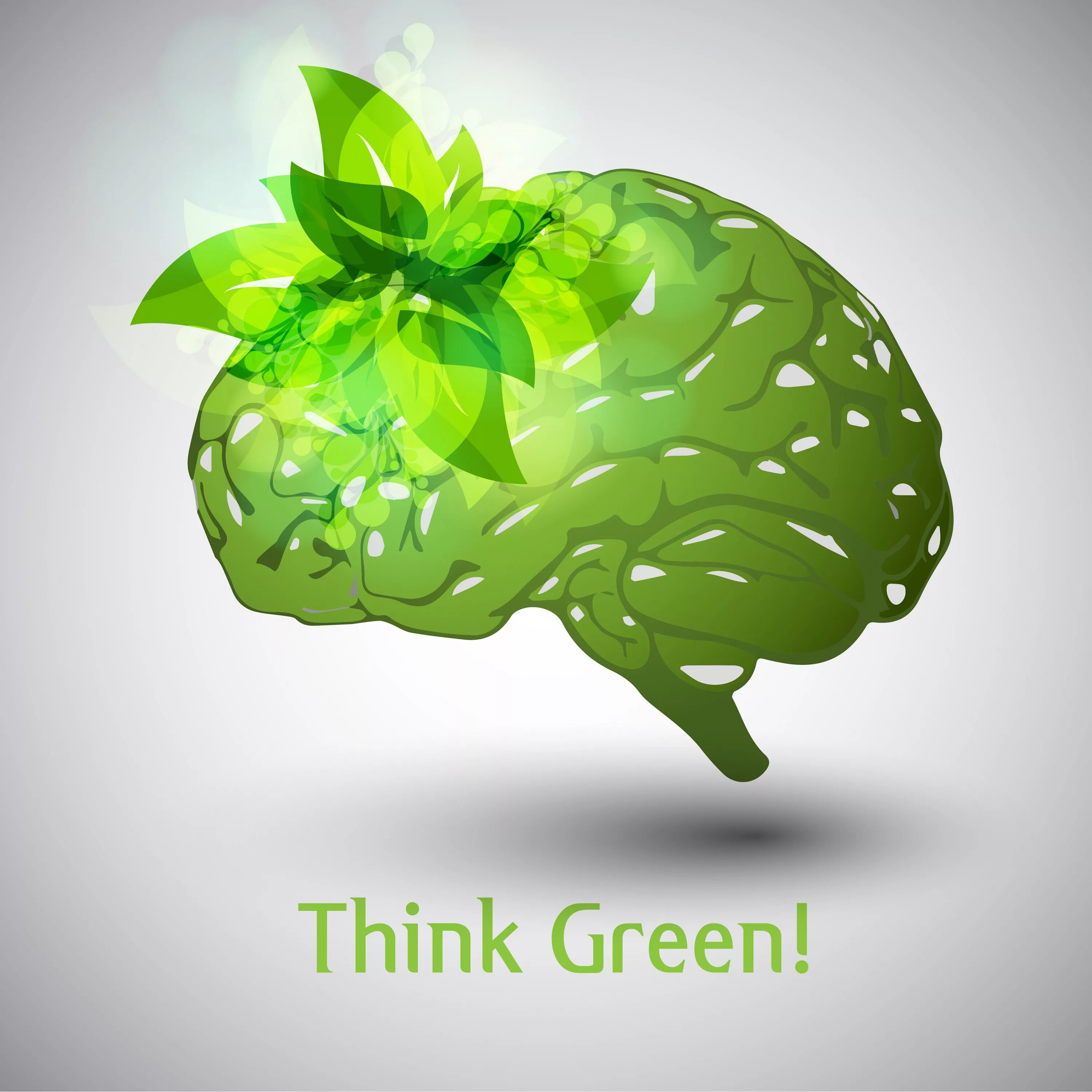 Green brain. Зеленый мозг. Зеленые мозги. Мозг на зеленом фоне. Зеленый мозг с цветами.