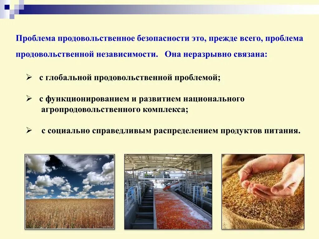 Проблемы продовольственной безопасности. Обеспечение продовольственной безопасности. Проблема обеспечения продовольственной безопасности. Продовольственная безопасность страны. Проблемы производства сельскохозяйственной