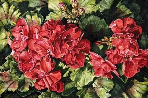 Helen the flowers