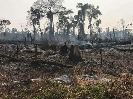 Environmental effect