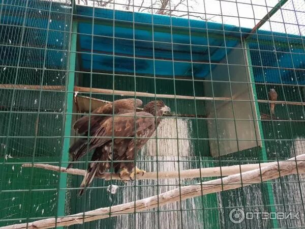 Посетив зоопарк он нам понравился. Посетив зоопарк он нам понравился