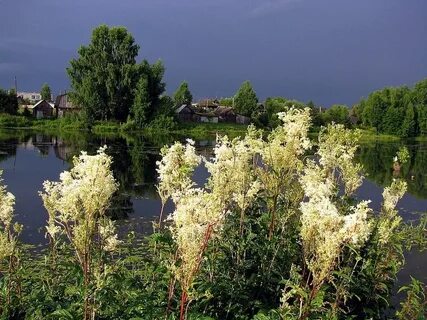 Tavolga center