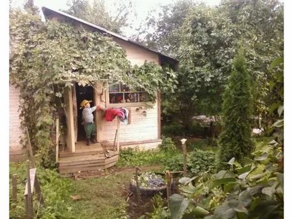 Садоводство красный октябрь санкт петербург