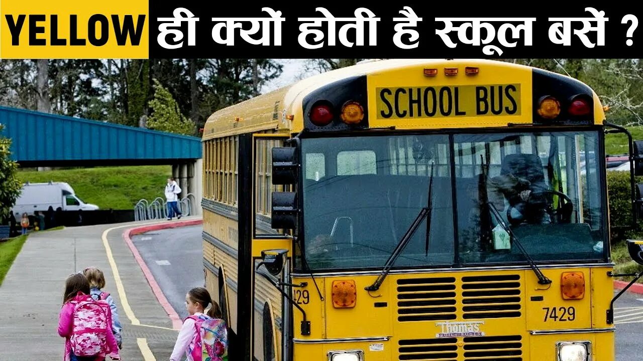 Buses it or they