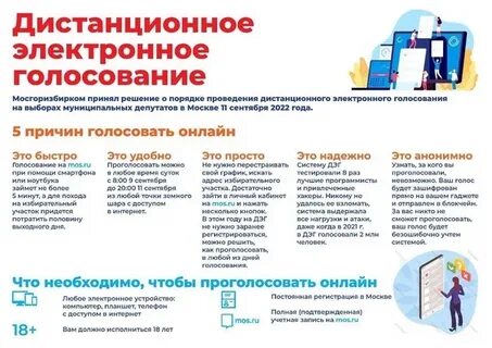 Можно ли голосовать электронно на выборах 2024